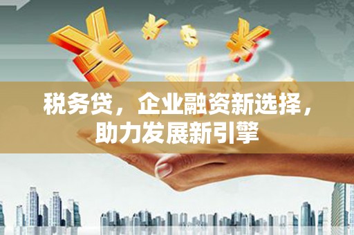 肇州税务贷，企业融资新选择，助力发展新引擎