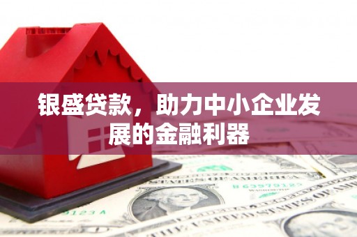 西沙银盛贷款，助力中小企业发展的金融利器