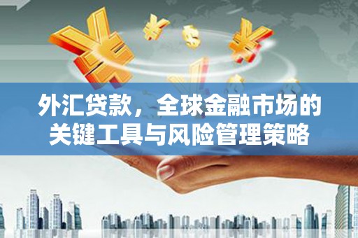永济外汇贷款，全球金融市场的关键工具与风险管理策略