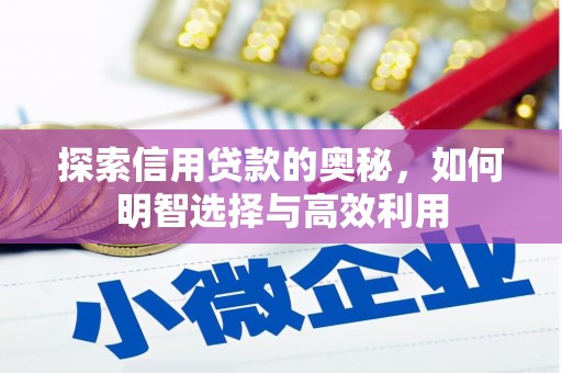 东城探索信用贷款的奥秘，如何明智选择与高效利用