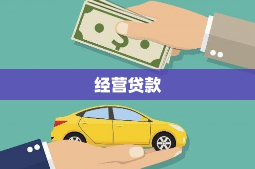 瑞穗经营贷款