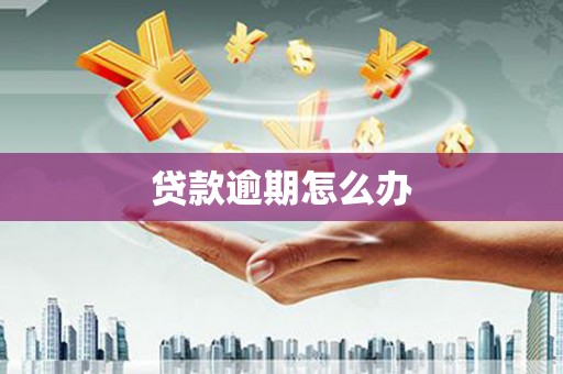 盘县贷款逾期怎么办