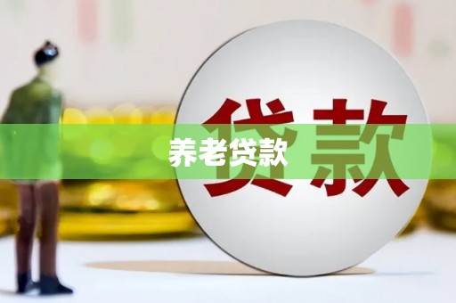 水林养老贷款