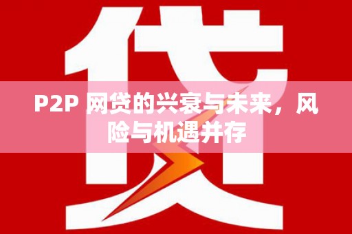 隆德P2P 网贷的兴衰与未来，风险与机遇并存