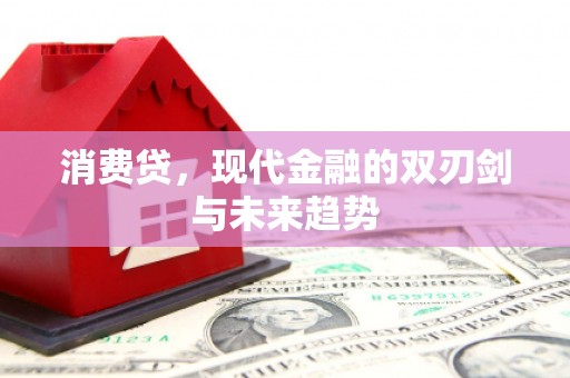 横沥消费贷，现代金融的双刃剑与未来趋势