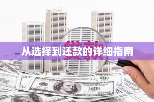 武汉从选择到还款的详细指南