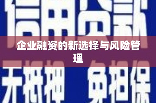 滨州企业融资的新选择与风险管理
