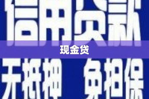 田林现金贷