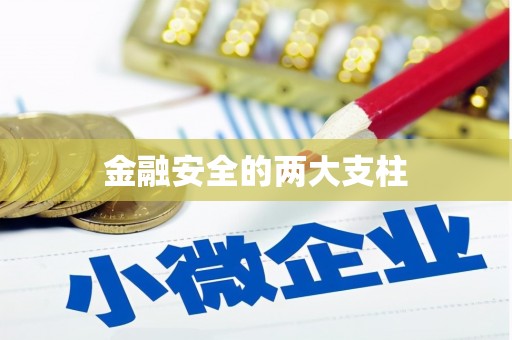 长城金融安全的两大支柱