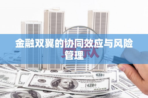 乐清金融双翼的协同效应与风险管理