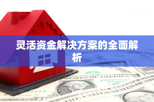 隆尧灵活资金解决方案的全面解析
